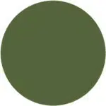 Green Palm