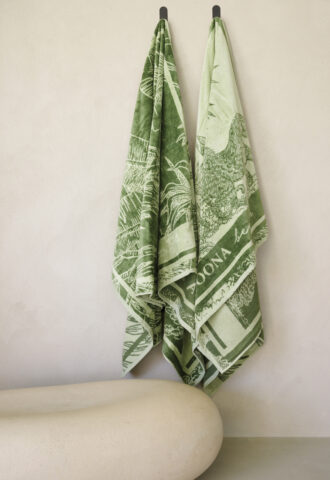 Deux serviettes vertes suspendues au mur.